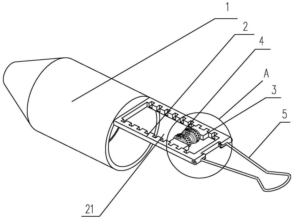 Fixtures for Immobilizing Rat Testicles for Injection