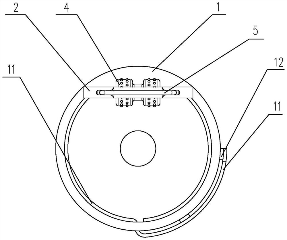 Fixtures for Immobilizing Rat Testicles for Injection