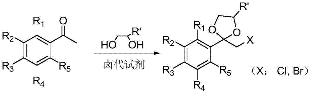 One-step method for preparing alpha-halogenated acetophenone glycol ketal compound