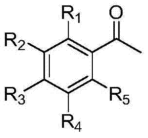 One-step method for preparing alpha-halogenated acetophenone glycol ketal compound