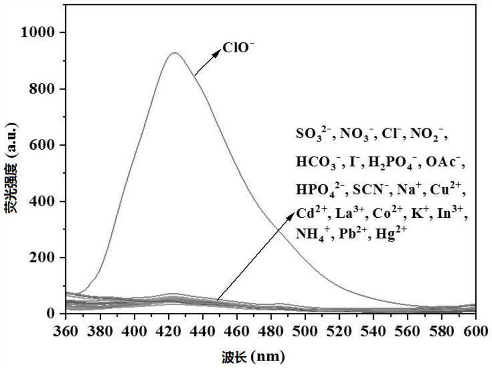 Tanshinone benzimidazole fluorescent probe for detecting ClO &lt;-&gt; ions as well as preparation method and application of tanshinone benzimidazole fluorescent probe