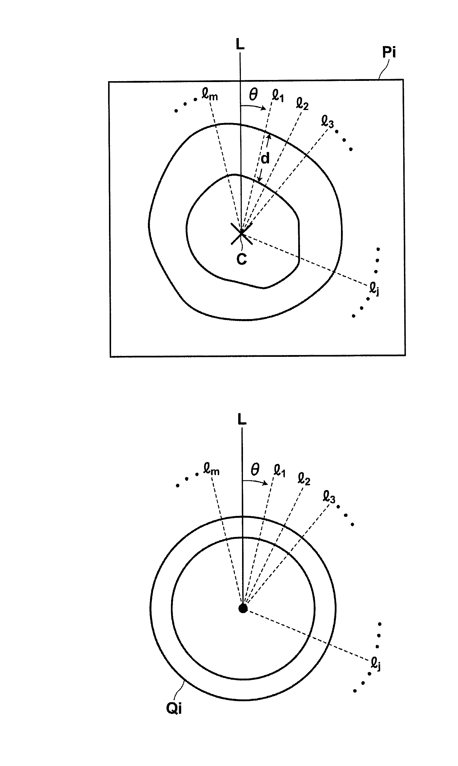 Cardiac function display apparatus and program therefor