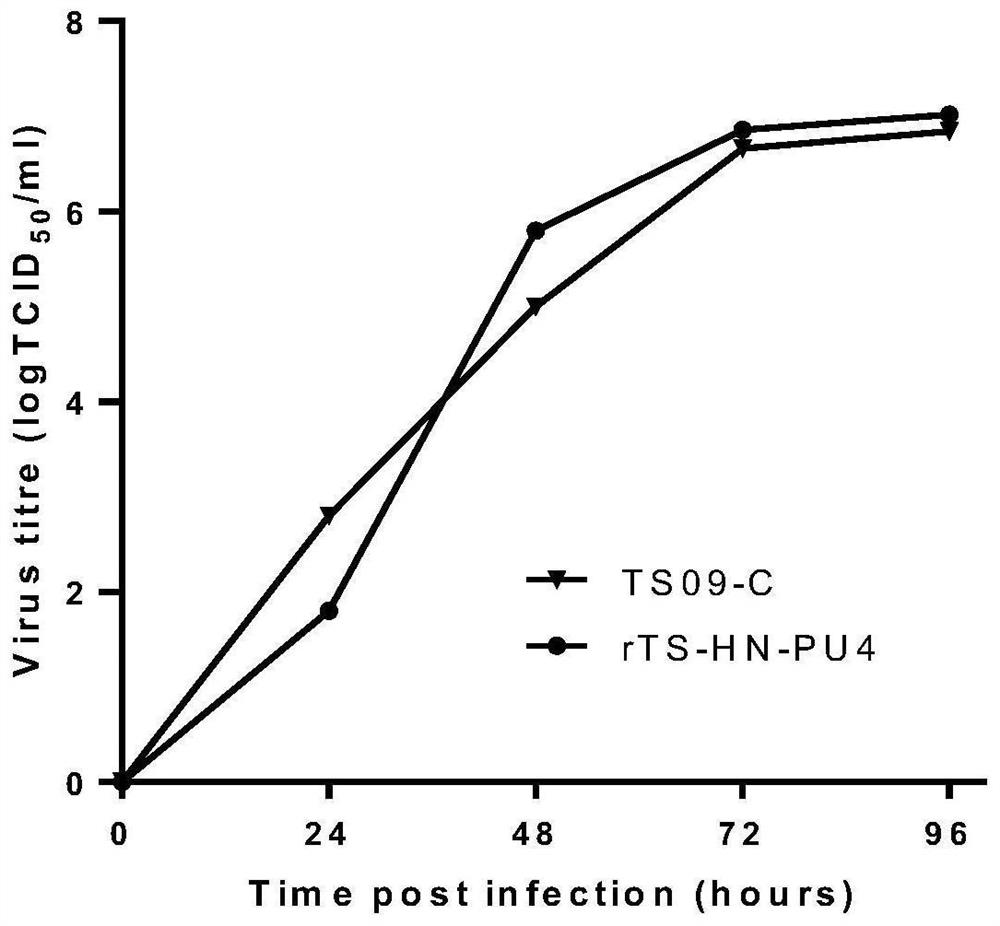 A mutant strain of heat-resistant Newcastle disease virus and its preparation method and application
