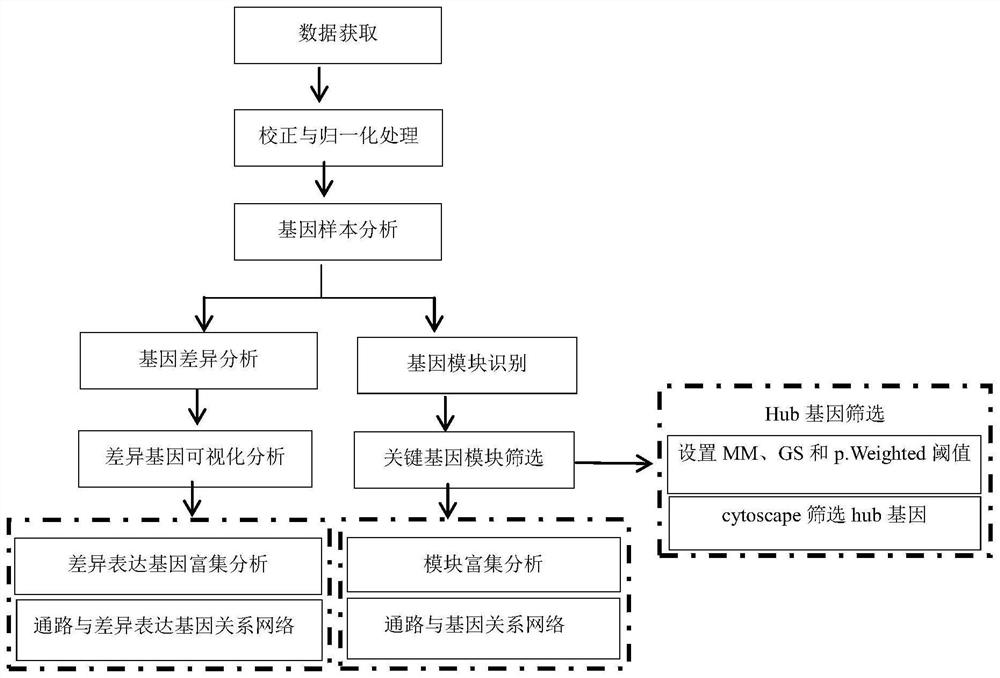 System for detecting hypertension-related genes and analyzing gene functions