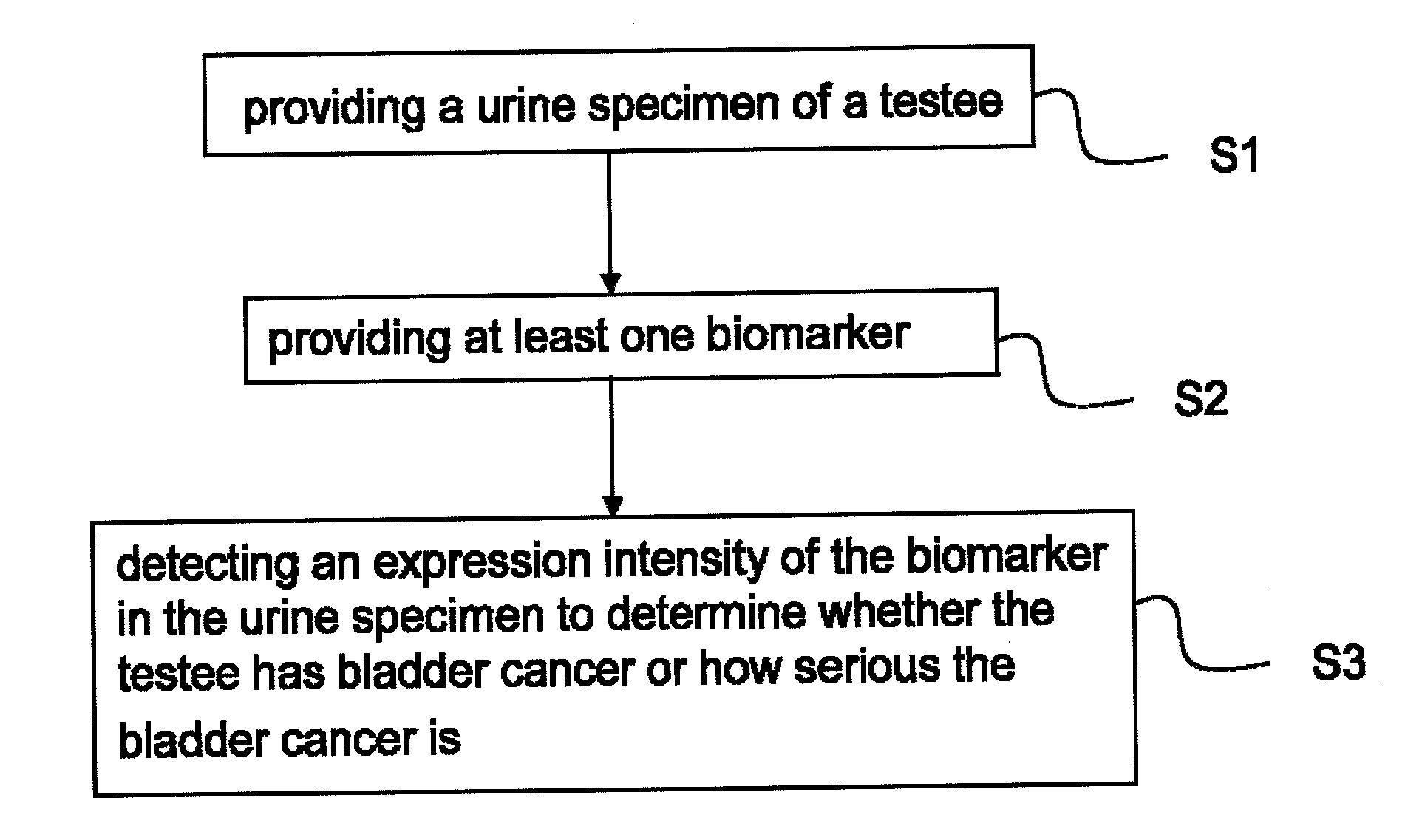 Bladder cancer biomarker and test method using the same