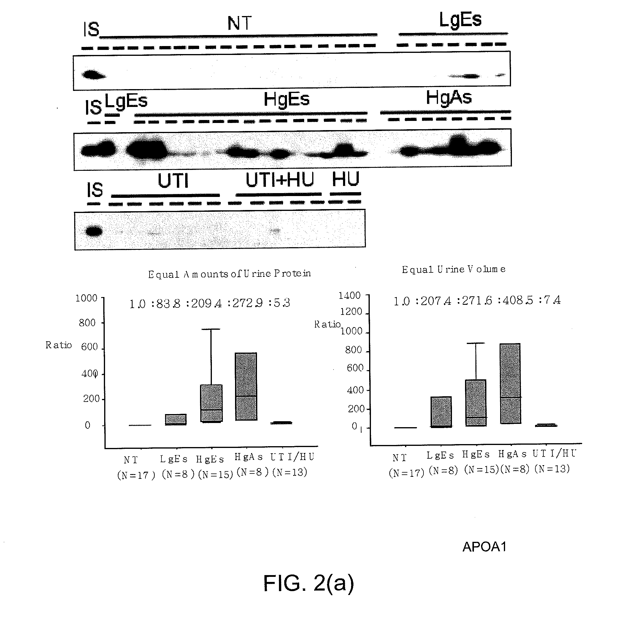 Bladder cancer biomarker and test method using the same