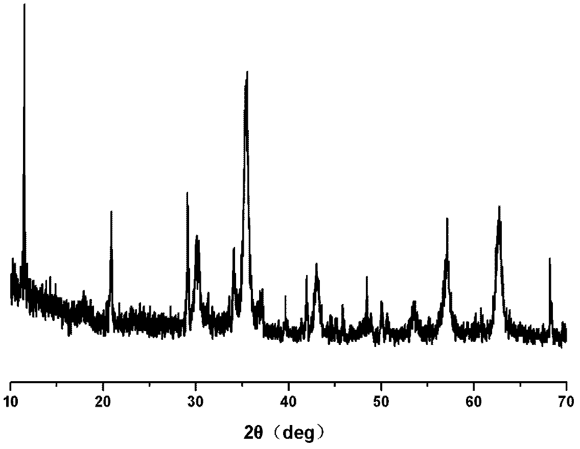 Ferroferric oxide calcium phosphate nuclear shell magnetic nanoparticle and preparation method thereof by biological mineralization method
