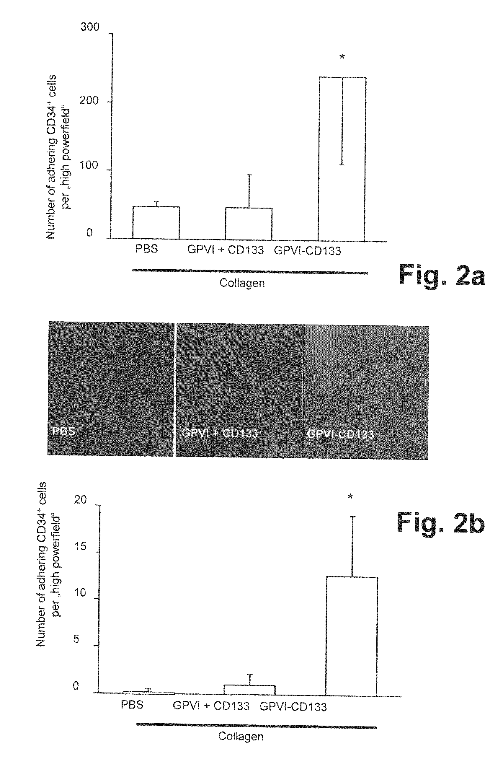 Bispecific fusion protein having therapeutic and diagnostic potential