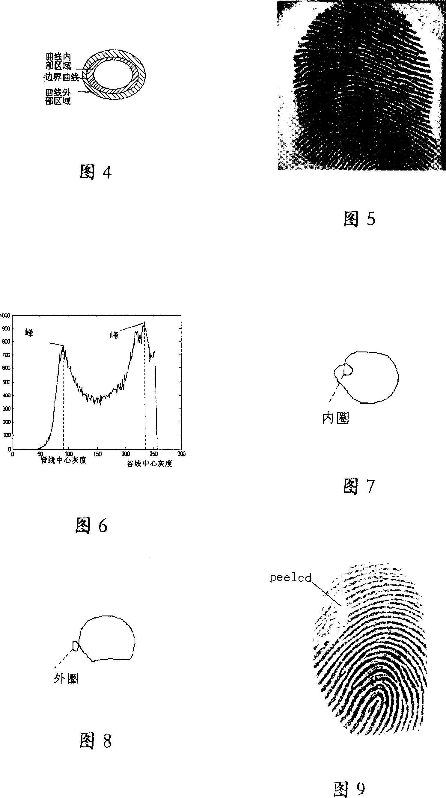 Image segmentation and fingerprint line distance getting technique in automatic fingerprint identification method