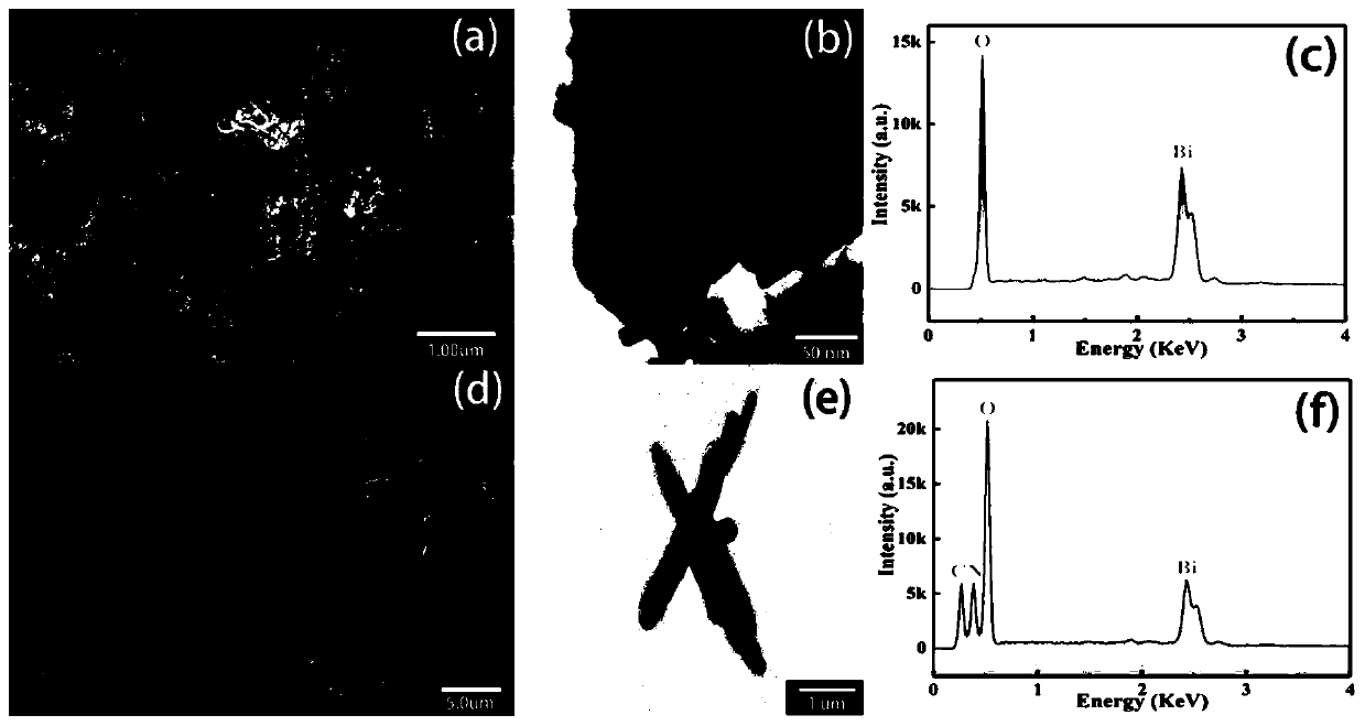 Preparation method and application of environment responsive PNIPAM/Bi2O3