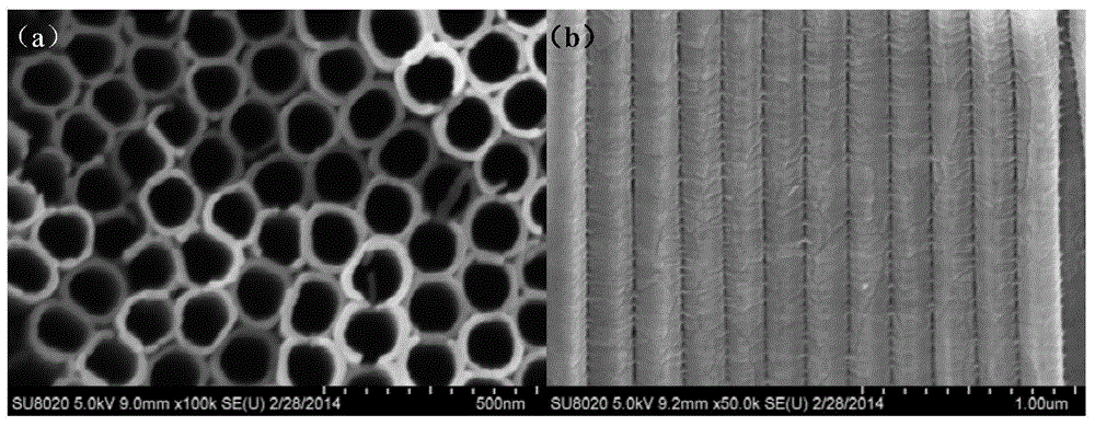 Homogeneous nanocrystal modified TiO2 nanotube array and preparation method thereof
