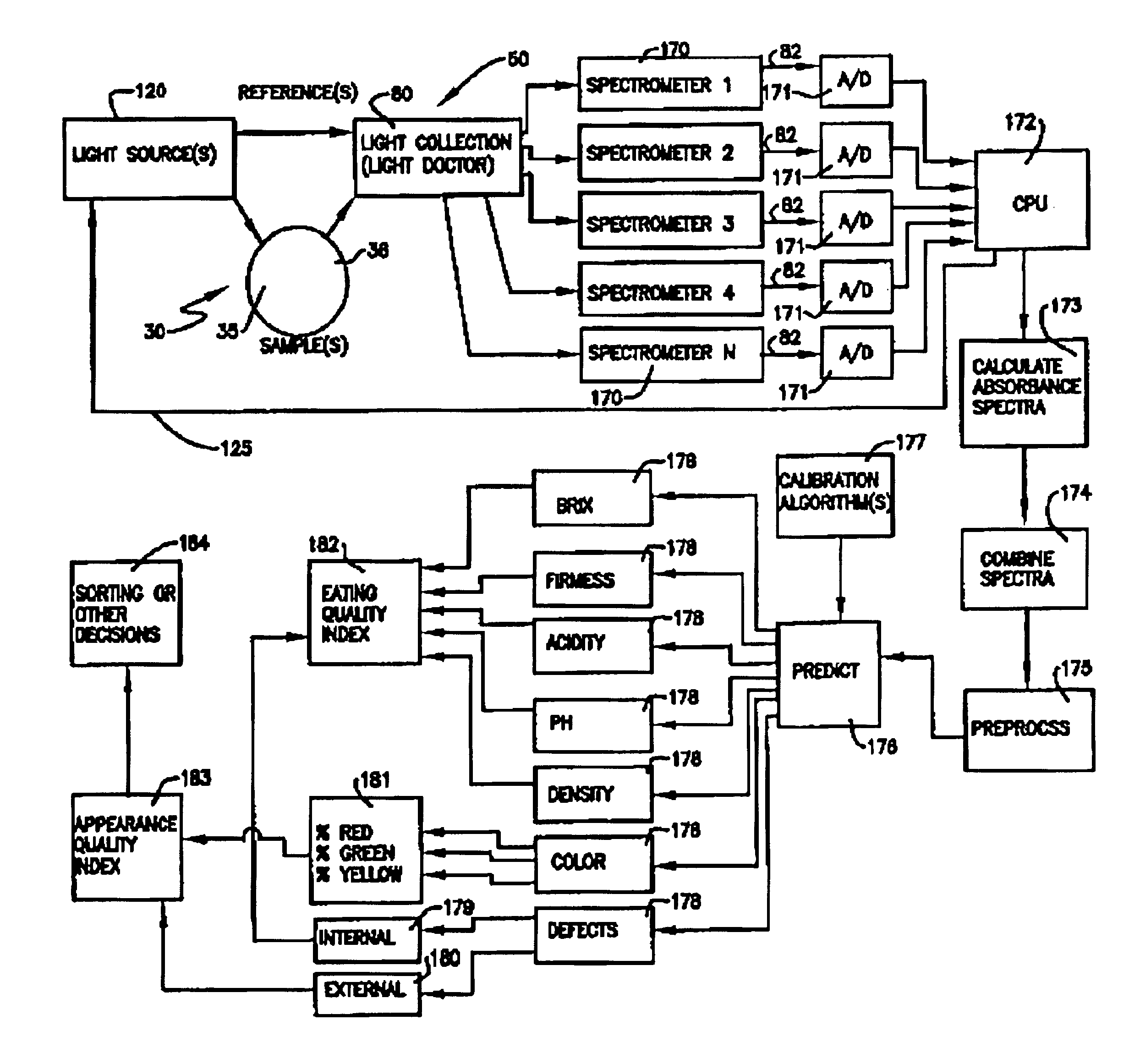 Apparatus and method and techniques for measuring and correlating characteristics of fruit with visible/near infra-red spectrum