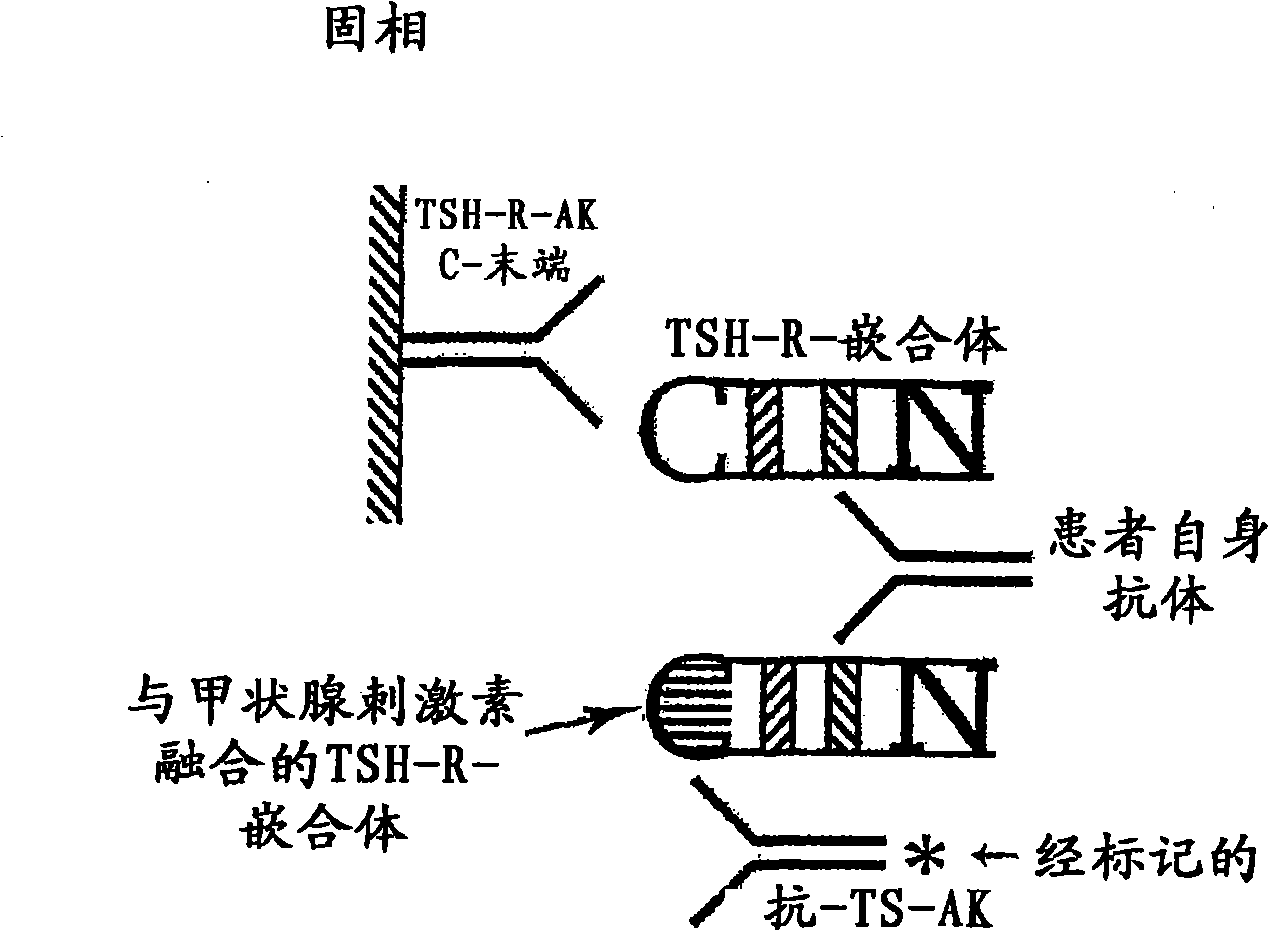 Method for detecting autoimmune antibodies against TSH receptors and novel TSH-receptor chimaeras