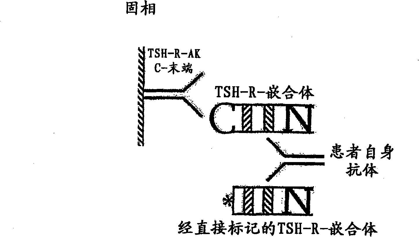 Method for detecting autoimmune antibodies against TSH receptors and novel TSH-receptor chimaeras