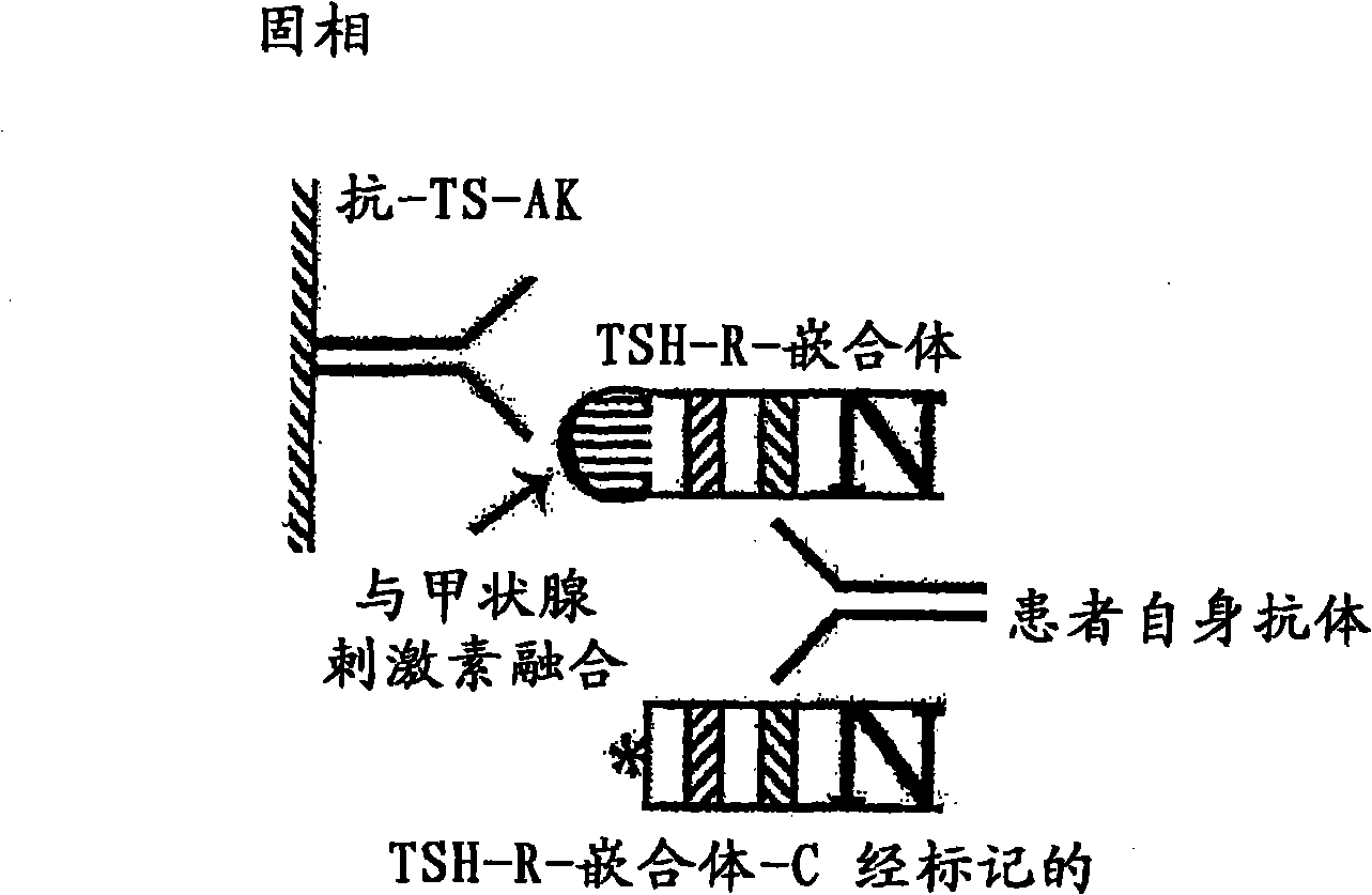 Method for detecting autoimmune antibodies against TSH receptors and novel TSH-receptor chimaeras