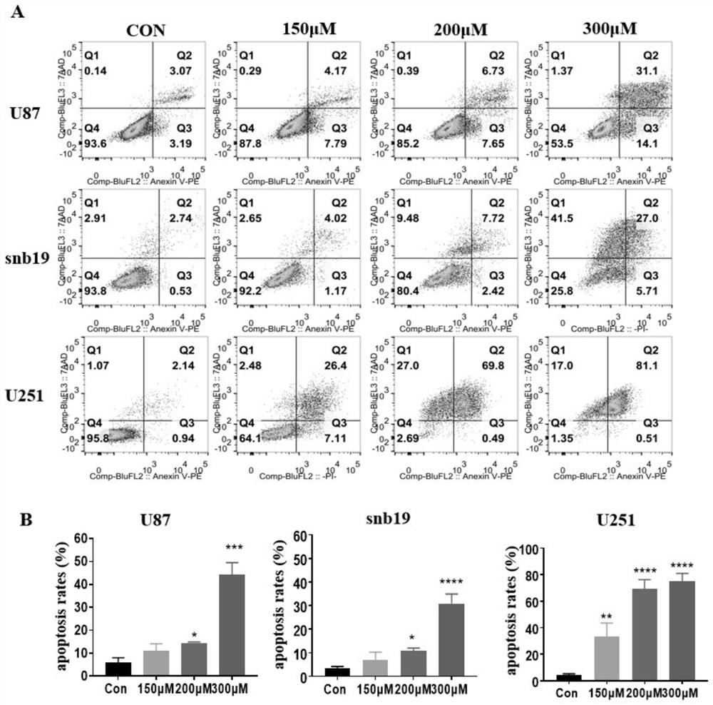 Application of PDE4 inhibitor in preparation of medicine for inhibiting glioma proliferation