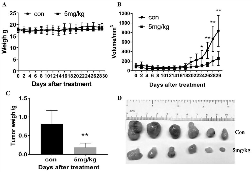 Application of PDE4 inhibitor in preparation of medicine for inhibiting glioma proliferation