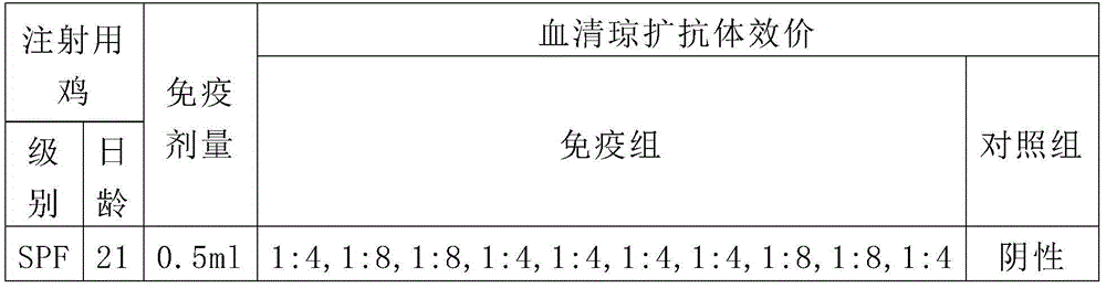 A kind of Muscovy duck parvovirus and its application