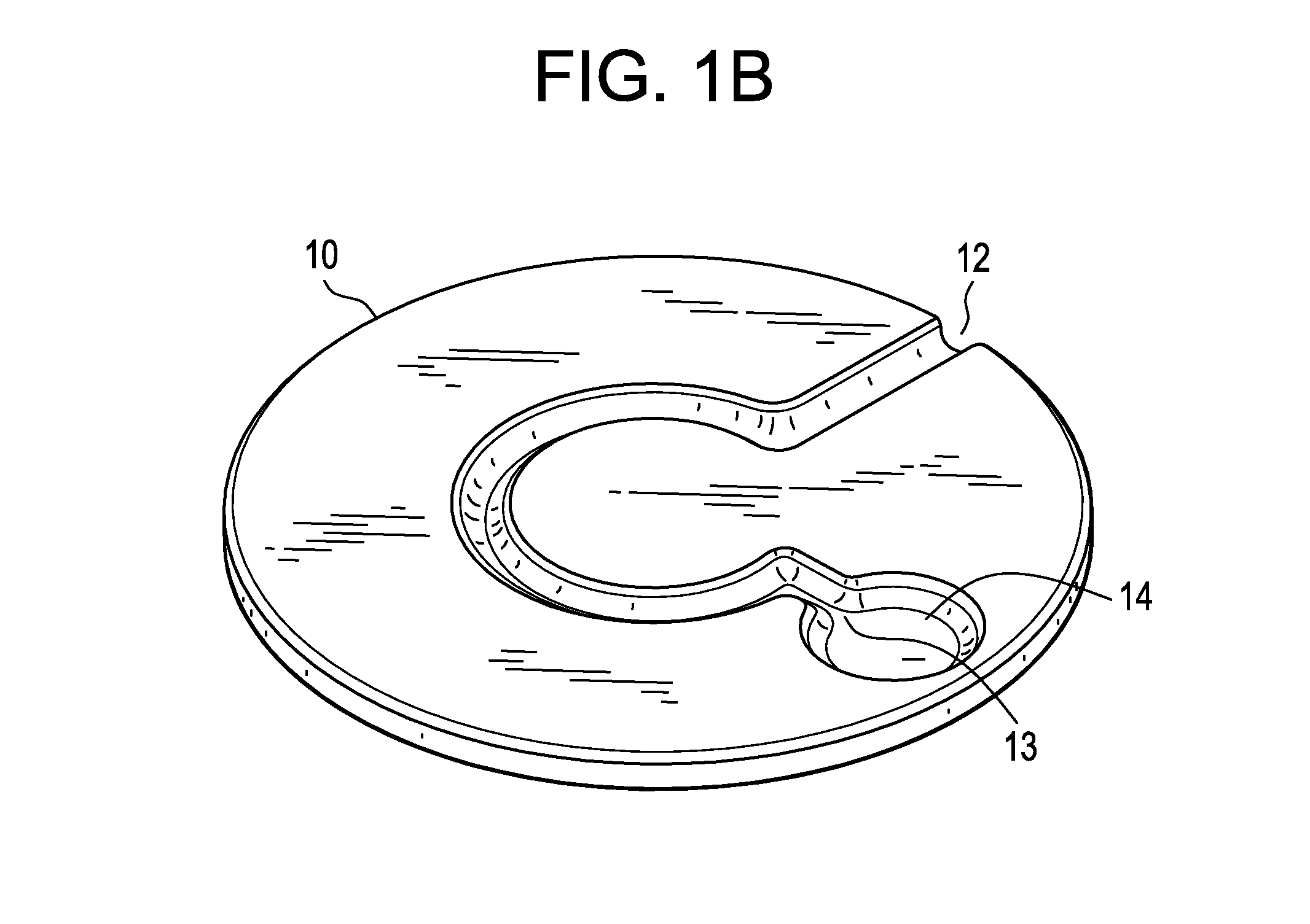 Rotatable disk-shaped fluid sample collection device