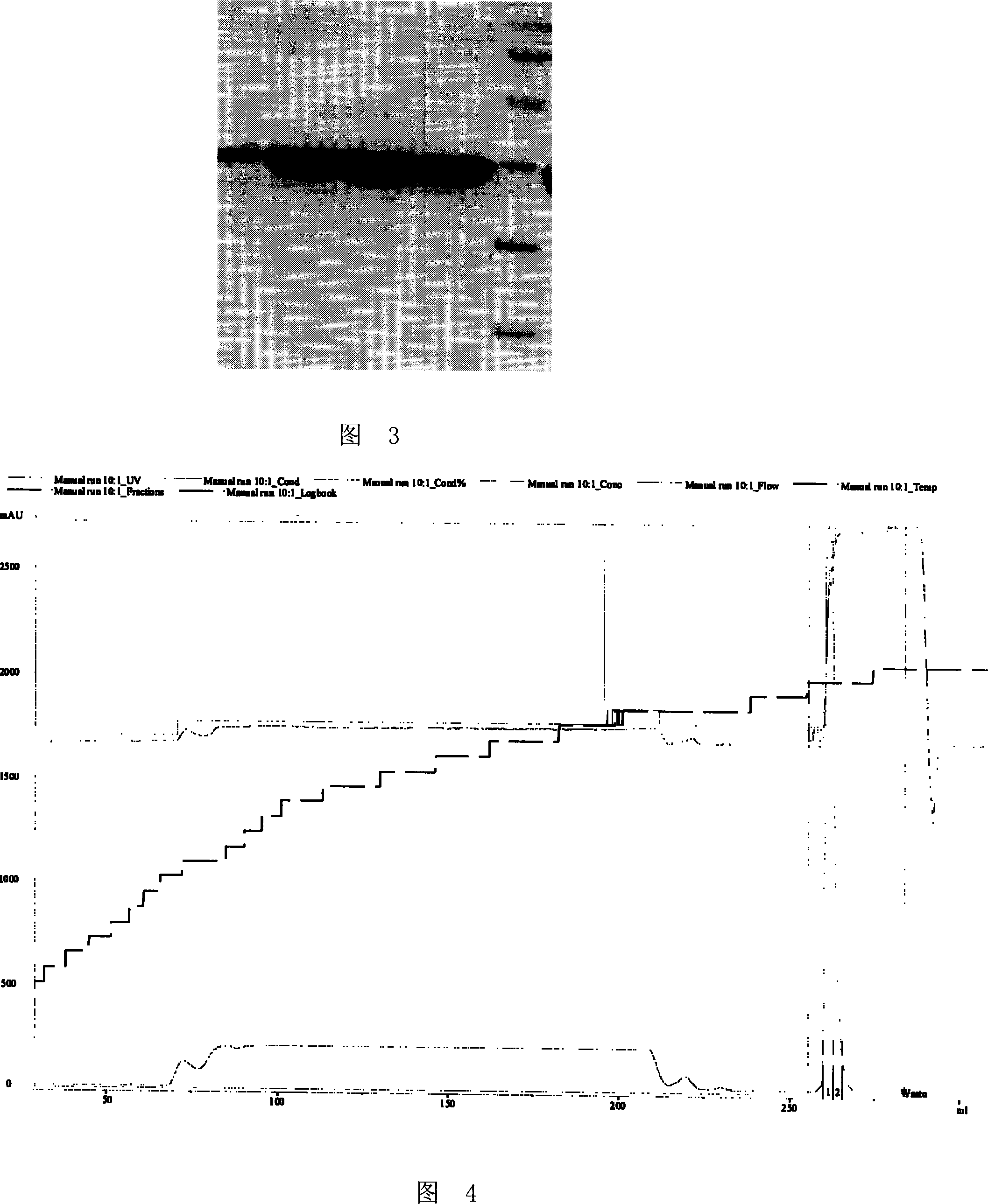 Immunochromatographic assay test paper for detecting staphylococcal enterotoxin B and preparation method thereof