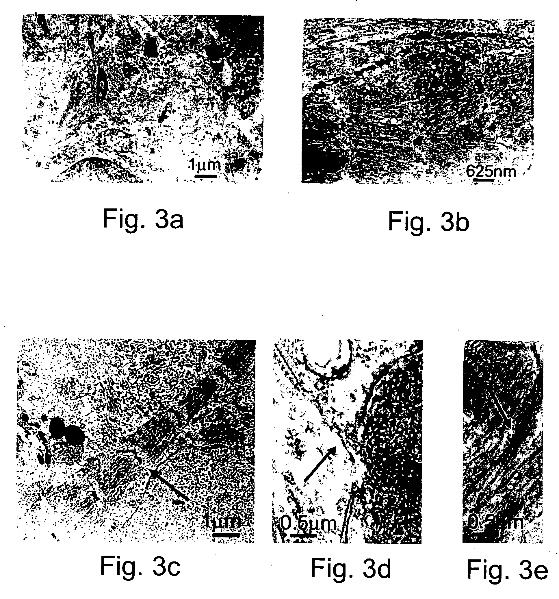 Methods of generating human cardiac cells and tissues and uses thereof
