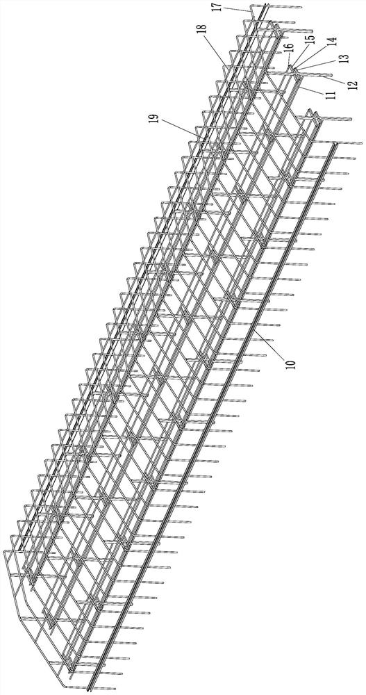 A simple cold shed cultivation method for sunny rose grapes with four main vines and flying birds on the plain