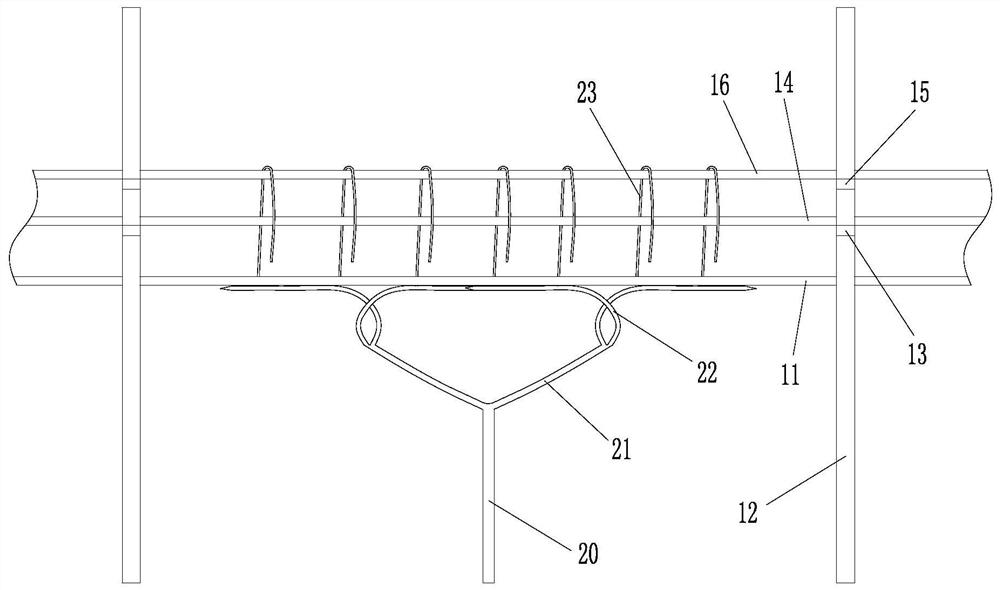 A simple cold shed cultivation method for sunny rose grapes with four main vines and flying birds on the plain