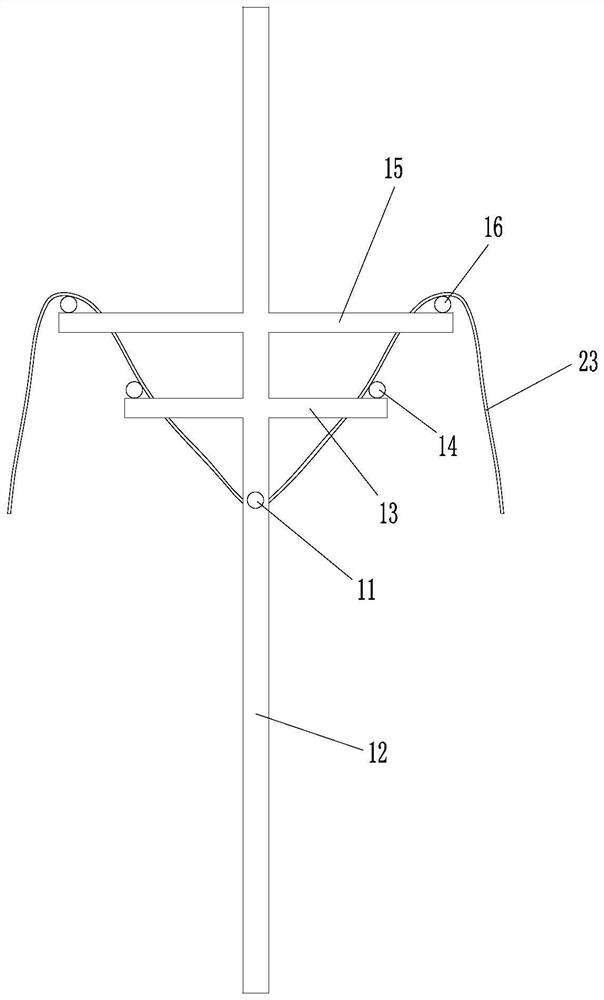 A simple cold shed cultivation method for sunny rose grapes with four main vines and flying birds on the plain