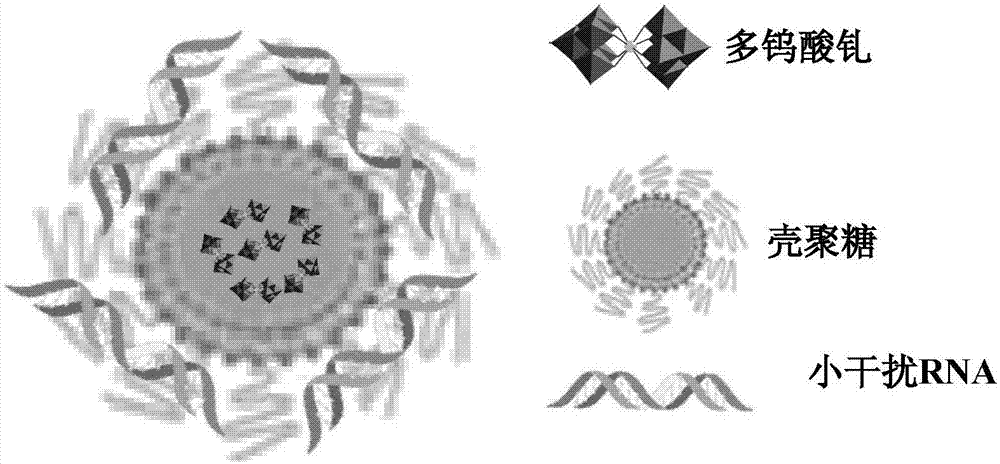 Purpose of gadolinium polytungstate-containing nanometer material as sensitizing agent