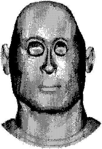 Method for adopting rough drawings to establish three-dimensional human face molds
