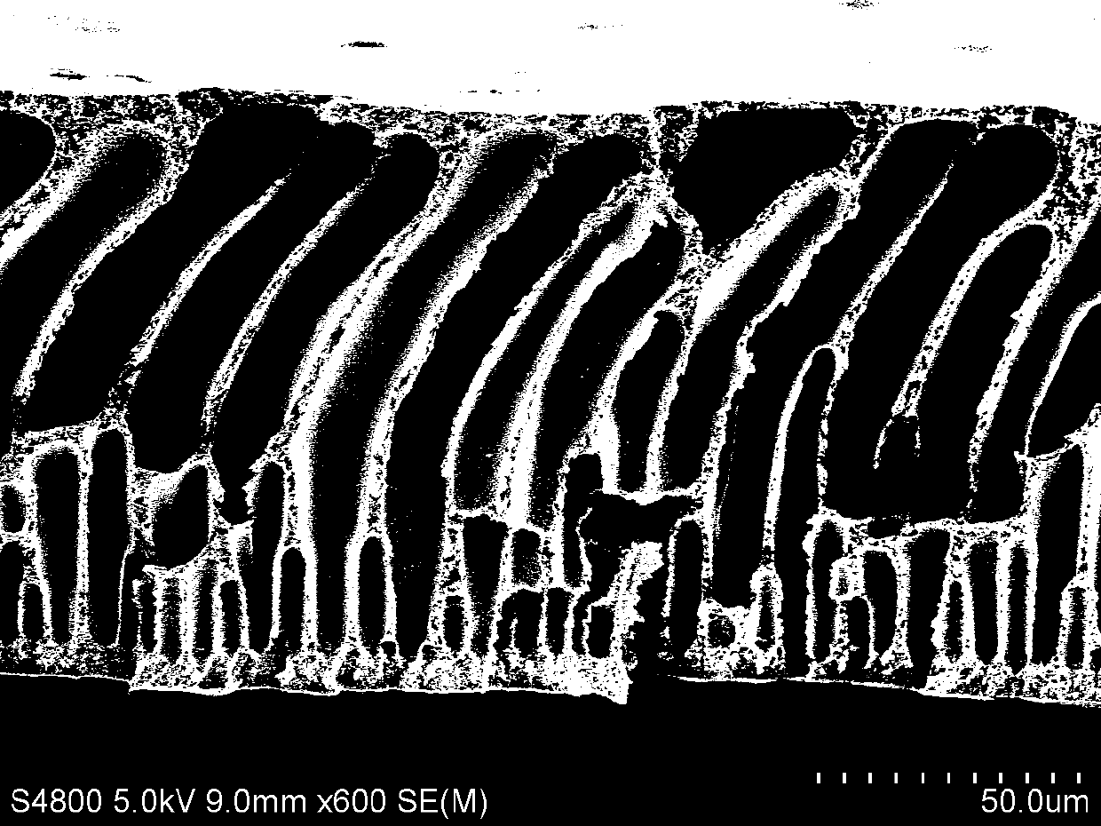 Asymmetric polyimide film for separating methyl cyclopentadiene and cyclopentadiene