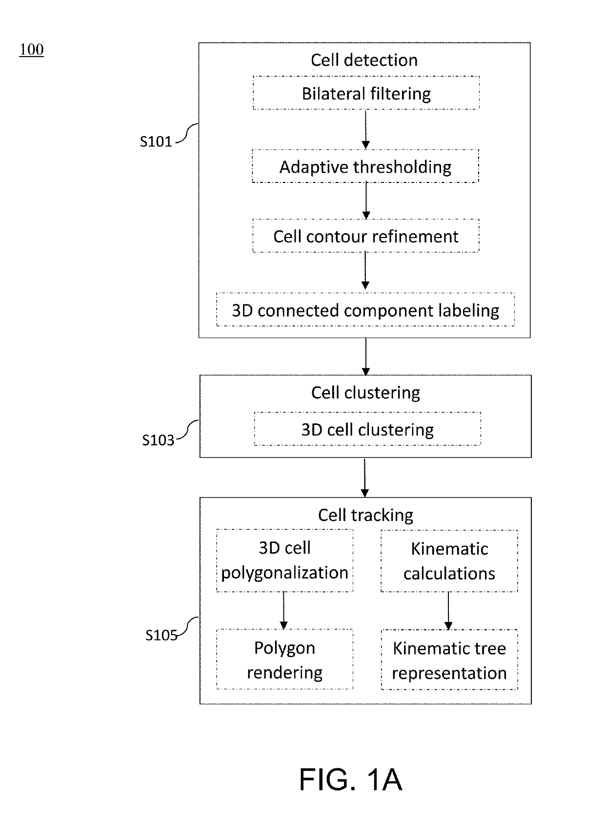 Method and apparatus for image processing and visualization for analyzing cell kinematics in cell culture