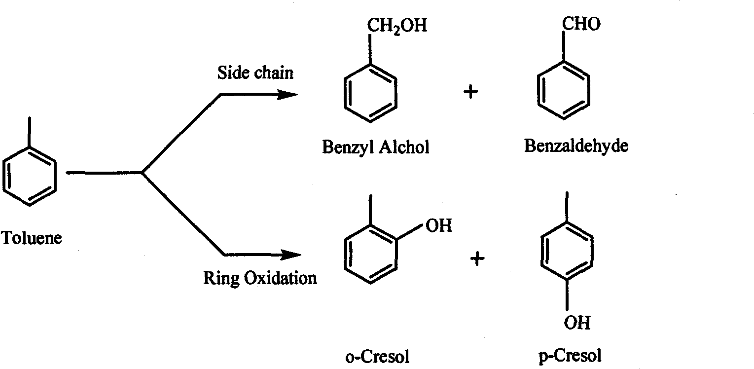 Catalytic synthesis method for preparing cresol by toluene one-step hydroxylation reaction