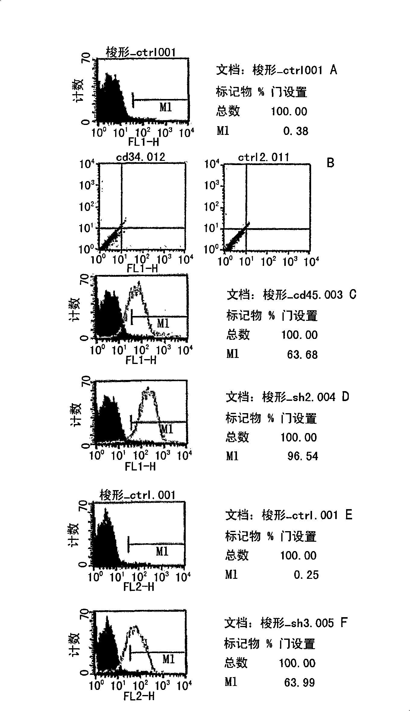 Multipotent adult stem cells having an ability of Oct4 expression derived from umbilical cord blood and method for preparing the same