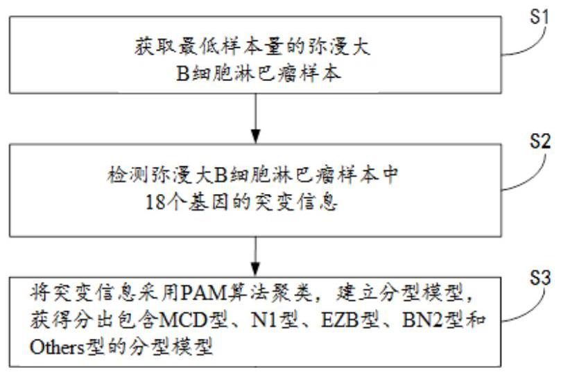 Typing model, typing method and kit for diffuse large B-cell lymphoma