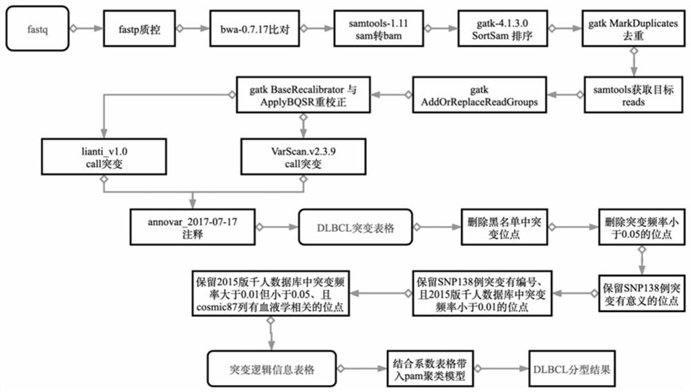 Typing model, typing method and kit for diffuse large B-cell lymphoma