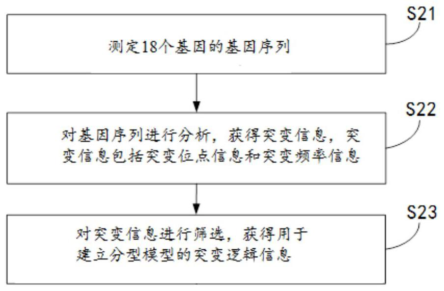 Typing model, typing method and kit for diffuse large B-cell lymphoma