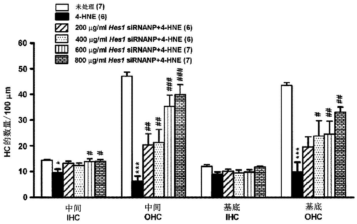 Combination therapies for inner ear sensory hair cell regeneration/replacement