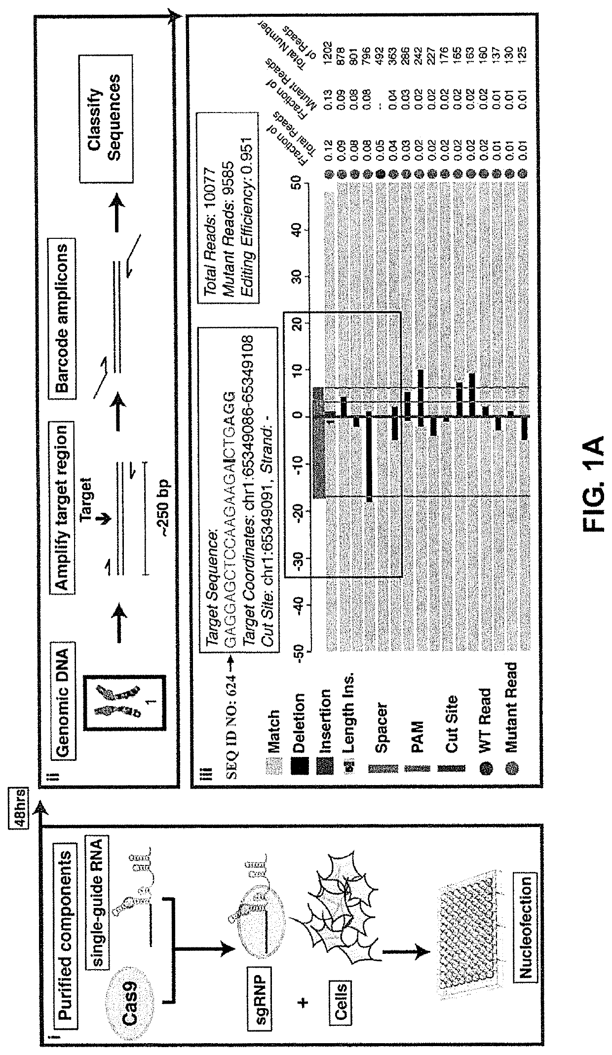 Methods for using DNA repair for cell engineering