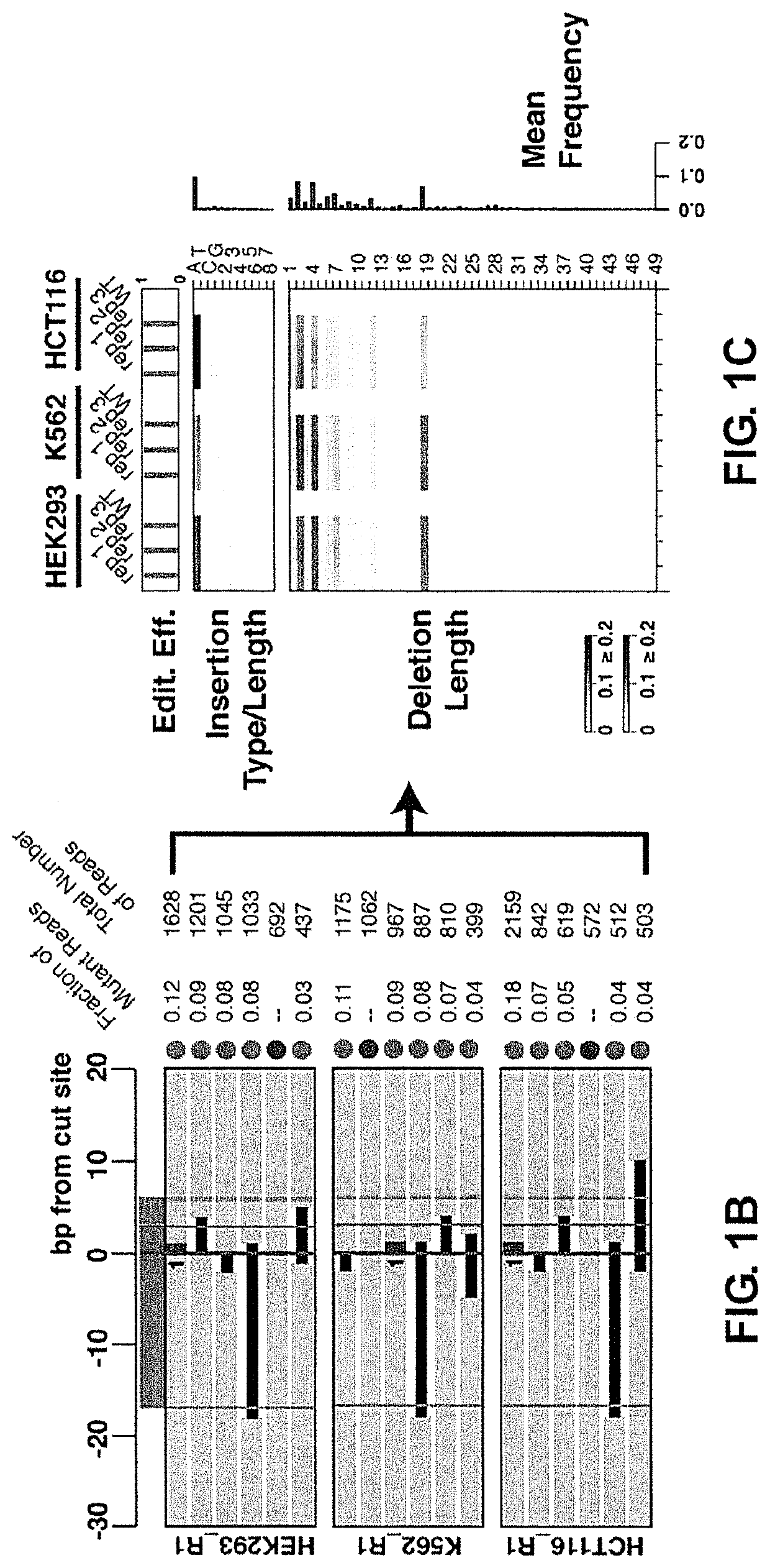 Methods for using DNA repair for cell engineering