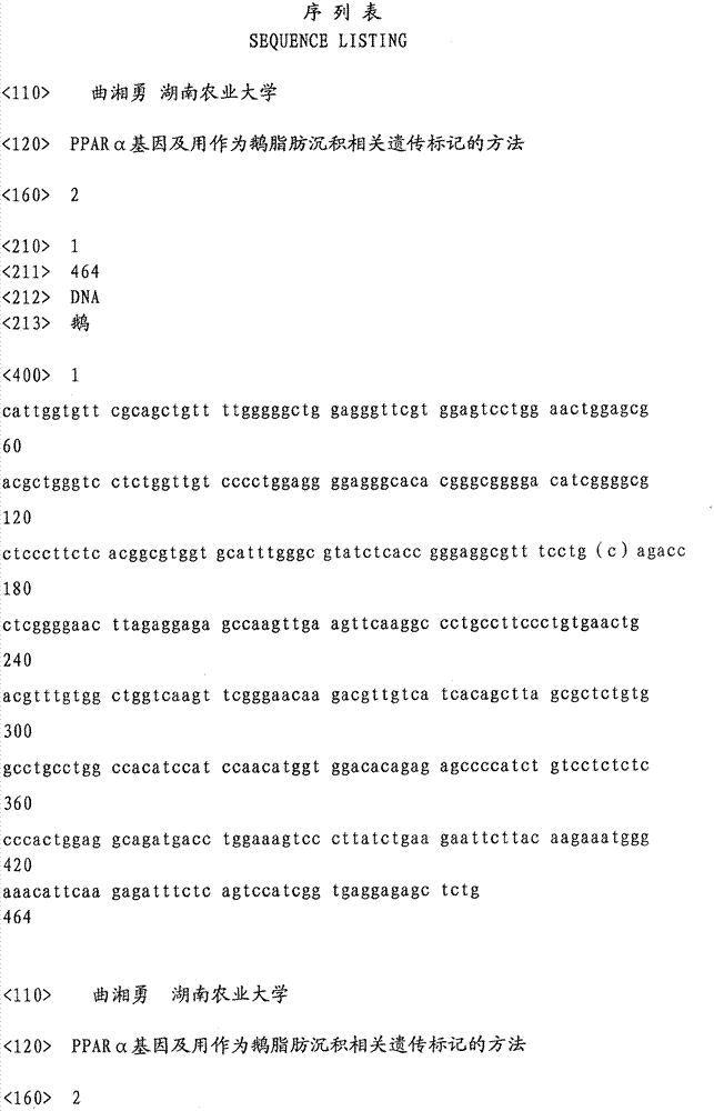 PPAR (Peroxisome Proliferator Activated Receptor) alpha gene and method of applying PPAR alpha gene as goose fatty deposition related genetic marker