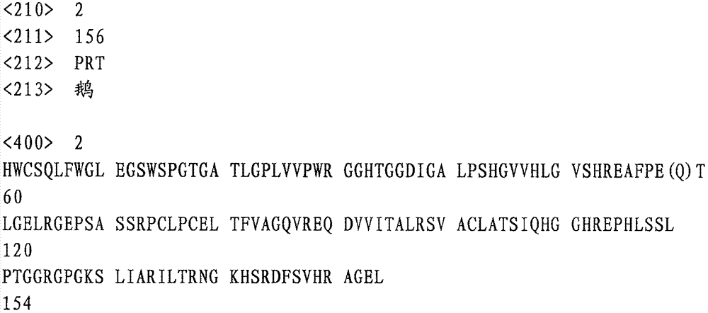 PPAR (Peroxisome Proliferator Activated Receptor) alpha gene and method of applying PPAR alpha gene as goose fatty deposition related genetic marker