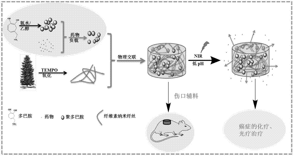 Preparation method for nanometer cellulose/polydopamine compound intelligent gel drug sustained-release material