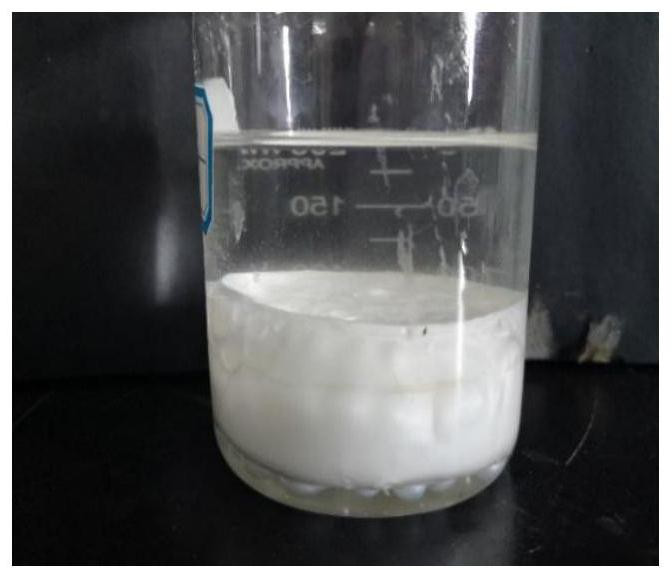 A kind of acid-resistant strong gel plugging agent and preparation method thereof