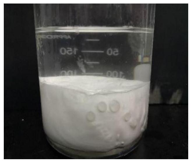 A kind of acid-resistant strong gel plugging agent and preparation method thereof