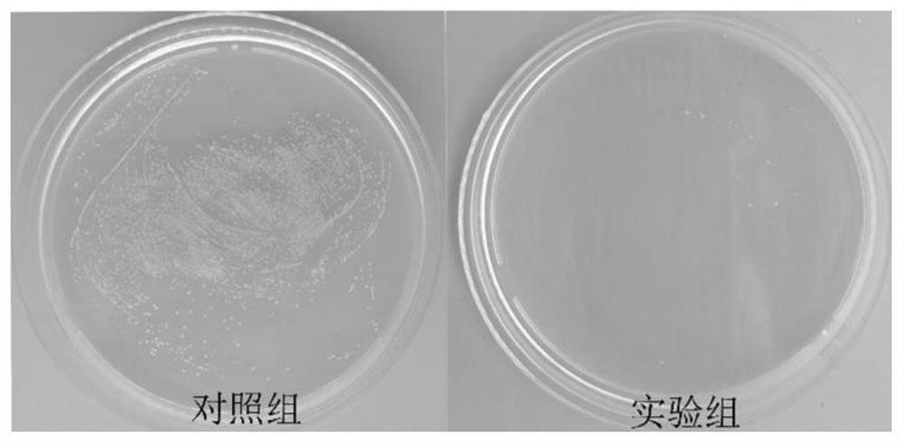 Water-soluble antibacterial spray and application thereof