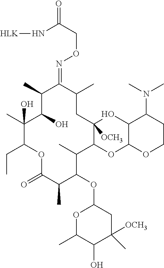 Hybridoma cell line of secreting clarithromycin monoclonal antibodies and preparation method thereof