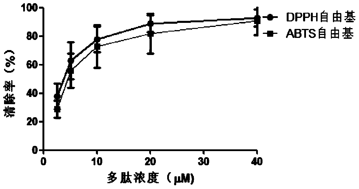 Black frame toad antioxidant peptide and its gene and its application in pharmaceuticals