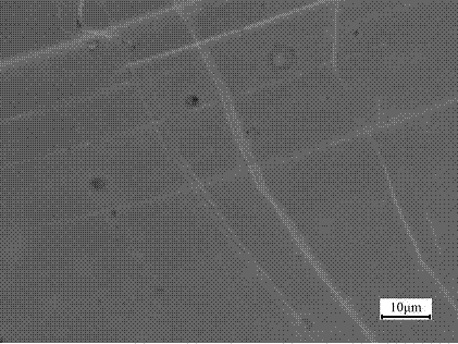 Copper nanowire / copper film composite structure and preparation method thereof