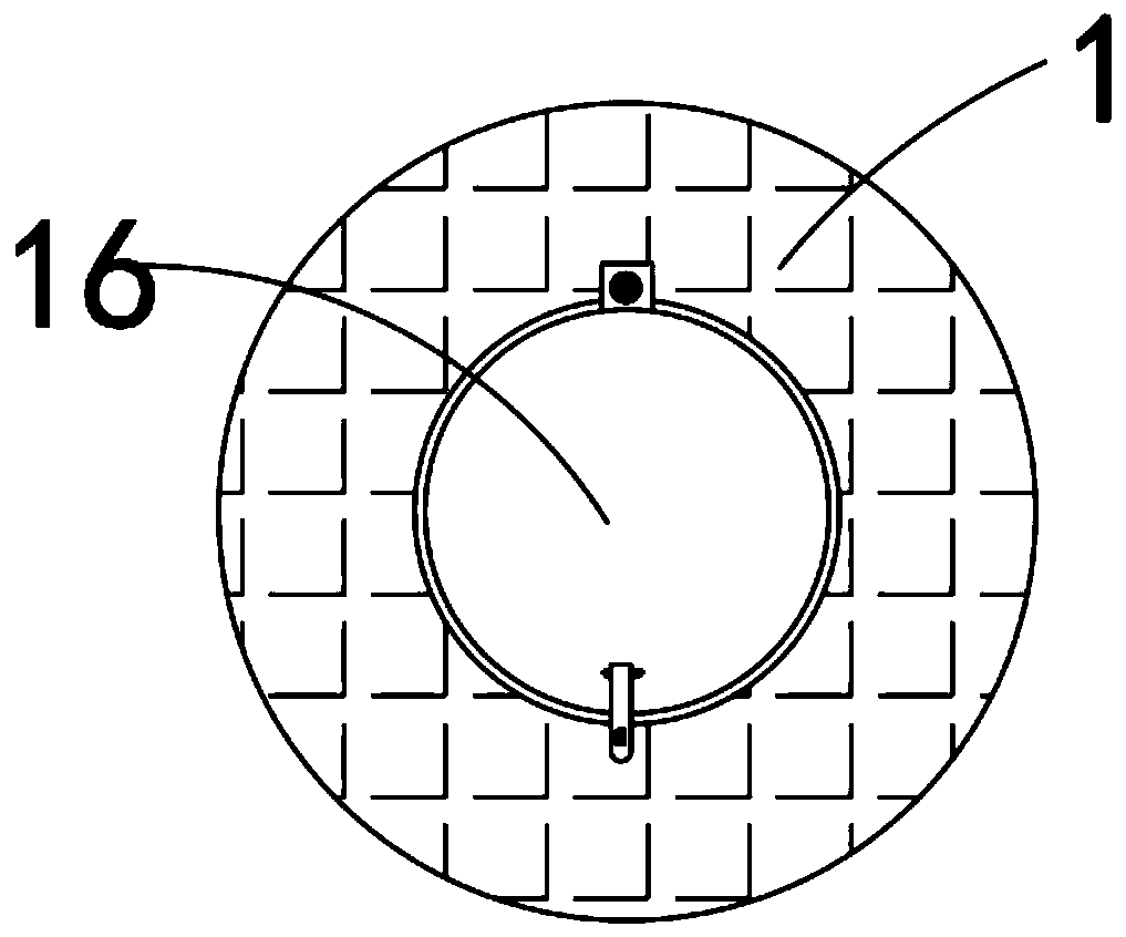 Annealing equipment for macromolecule novel jade production